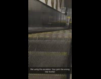 Rat trying to go up escalator the wrong way
