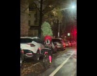 Man carries Christmas tree on back riding bike
