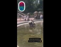 Man goes into fountain at the park and steals coins in the water