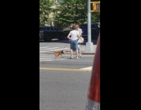 Lady follows harasses kicks other lady dog 