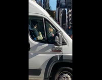 Man wear donald trump mask traffic enforcer in NY 
