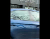 Man Feeds Pigeons and Finches from Car