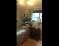 Collab DailyDoseOfInternet - Cat stares at toy fish in net