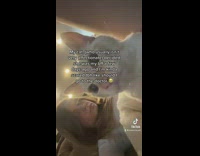 Lady Records Pet Cat Sits Next to Her