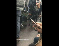 Black dog wears red sunglasses on subway train