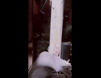 Construction worker walks across tube at site