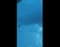 Spiders crawl down glass window woman birthday part 2