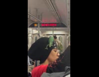 Collab Subway Creatures - Woman has pet chameleon lizard crawling on head 