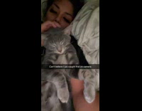 Lady Catches Glimpse of Flea on Cats Head