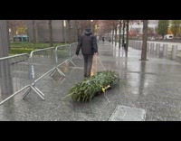 Collab WINY - Guy dragging a christmas tree on a rope dolly on the street
