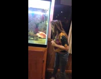 Girl trying to tease red fish in aquarium tank