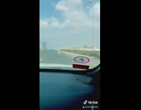 Gazelle runs on freeway