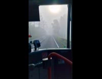 Thick fog surrounds and blocks the road 