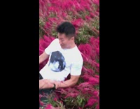 White shirt guy holds friend leans backward 