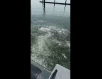 Guy attempts backflip hits grey boat fail 