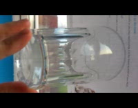 Fluff moves to the wings of the wasp inside the glass