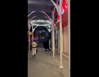 Little boy walks with his dog and giant mascot wears black at night 