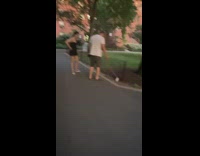 A couple walking their rat on a leash at the park 
