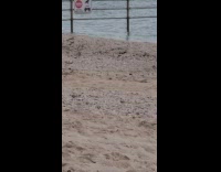 Woman bikini hang on no entry fence