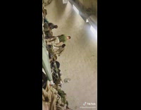 Guy in the Marines complains about fan 