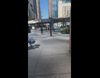 Woman in yellow top and pink shorts poses on the crosswalk