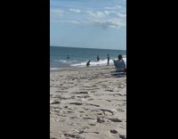 Brother film girl crawl and lay beach