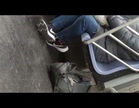 Guy on subway holding horseshoe crab while another guy dances