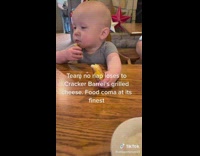 Baby falls asleep while eating grilled cheese