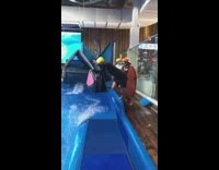 Wetsuit guy pink board wave pool fail 