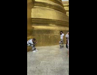 Couple matching elephant pants gold palace