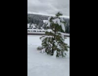 Skier does 3 backflips