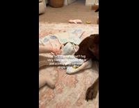 Baby tugging blanket with dog