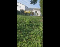Two girls gold foil balloons grass backyard 
