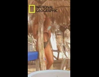 Woman in black bikini tiktok National Geographic Filter