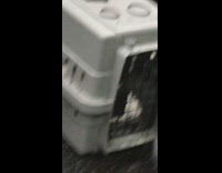 Man brings white and blue parrot in gray crate on the subway train