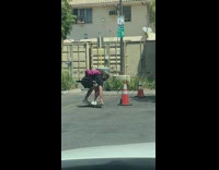 Pink backpack guy skateboard phone orange cone 