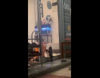 Kid playing with kitten behind glass door