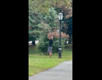 Man use tree branch for outdoor workout