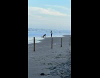 Collab IITW - Woman in bikini kneel and bend over at the beach - rope fence