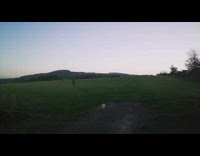 Pet cat follows owner on long hikes at sunrise