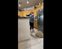 Collab BitchMP - Tortoise in kitchen waiting for woman at fridge