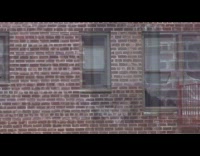 White bird flies in and out of window