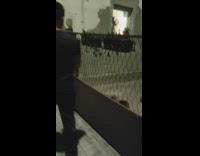 Dogs bark at man jump fence continuously