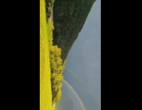 Double rainbow over field on cloudy day