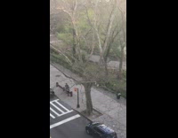 People in park clap cheer for coronavirus doctors