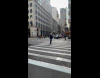 Collab WINY - Person in Donald Trump Costume Assists Cars crosswalk
