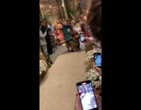 Pet dog delivers ring in the wedding aisle in front