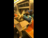 Man has grey goose in a cardboard box part 2