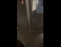 Collab Subway Creatures - Subway train pole detached from the floor