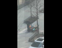 Man rides OneWheel with dogs on leash